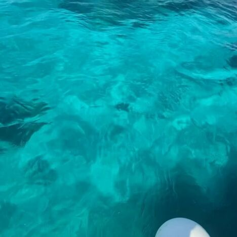 Amazing bays