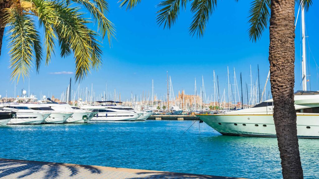 Hafen von Palma