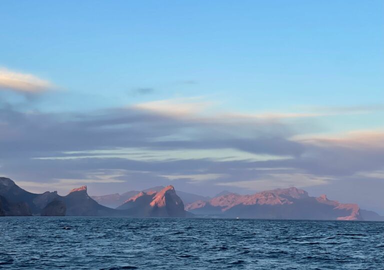 News first-class-sailing.com