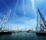News first-class-sailing.com