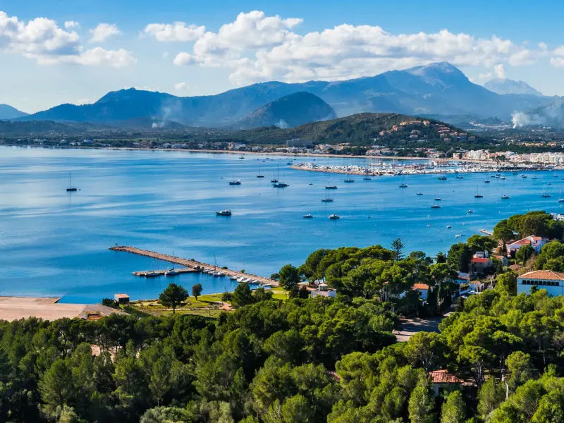 Terms and Conditions - Mallorca