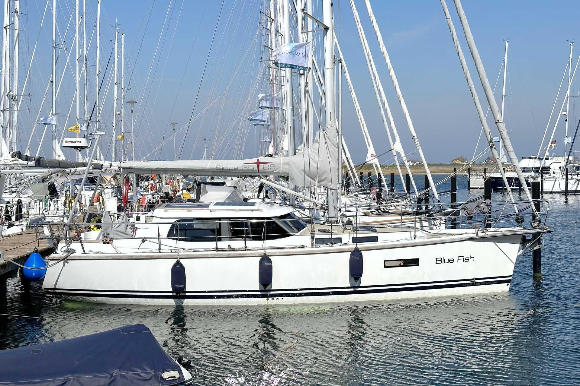 Sirius 35 DS Blue Fish
